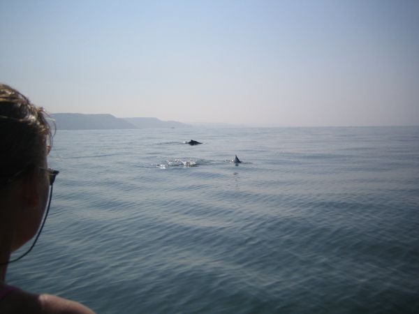 Yogarejse med oplevelser