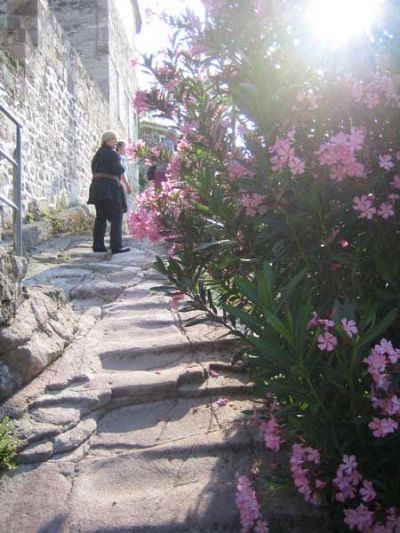 Yoga rejse Grækenland